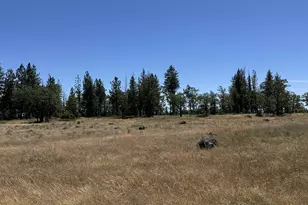 [Address not provided], Goldendale, WA 98620 - Photo 31