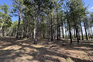 [Address not provided], Goldendale, WA 98620 - Photo 21