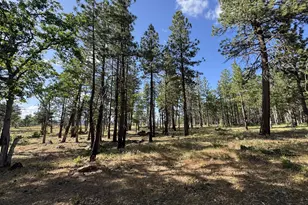 [Address not provided], Goldendale, WA 98620 - Photo 33