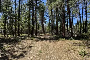 [Address not provided], Goldendale, WA 98620 - Photo 39