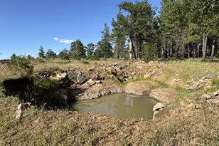 [Address not provided], Goldendale, WA 98620 - Photo 29