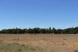 [Address not provided], Goldendale, WA 98620 - Photo 31