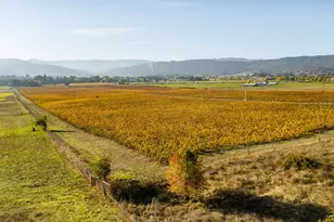 8690 Lookingglass Rd, Roseburg, OR 97471 - Photo 45