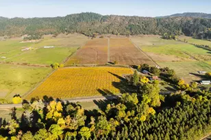 8690 Lookingglass Rd, Roseburg, OR 97471 - Photo 47