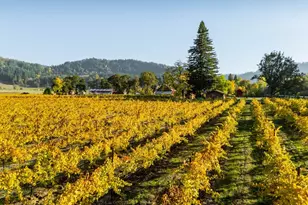 8690 Lookingglass Rd, Roseburg, OR 97471 - Photo 43