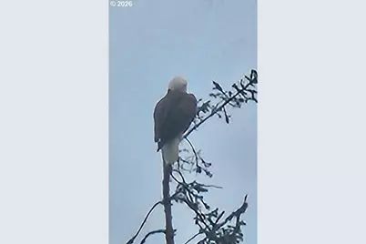 267 SE Tide Ave, Lincoln City, OR 97367 - Photo 5