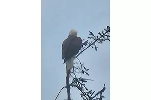 267 SE Tide Ave, Lincoln City, OR 97367 - Photo 5