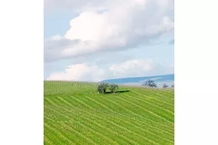 3455 Three Mile Rd, The Dalles, OR 97058 - Photo 31