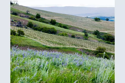 3455 Three Mile Rd, The Dalles, OR 97058 - Photo 35