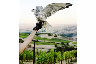 3455 Three Mile Rd, The Dalles, OR 97058 - Photo 27