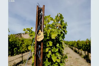 3455 Three Mile Rd, The Dalles, OR 97058 - Photo 29