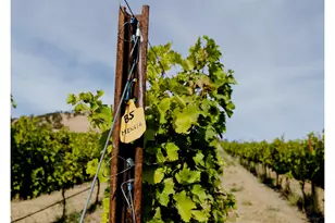 3455 Three Mile Rd, The Dalles, OR 97058 - Photo 29