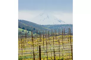 3455 Three Mile Rd, The Dalles, OR 97058 - Photo 39