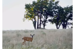 3455 Three Mile Rd, The Dalles, OR 97058 - Photo 41