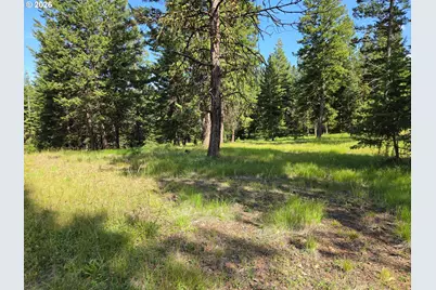 Divide Camp Rd, Joseph, OR 97846 - Photo 35