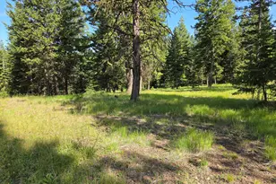 Divide Camp Rd, Joseph, OR 97846 - Photo 35