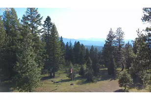 Divide Camp Rd, Joseph, OR 97846 - Photo 3