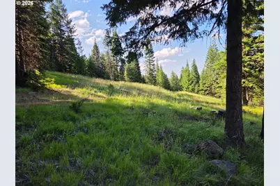 Divide Camp Rd, Joseph, OR 97846 - Photo 43