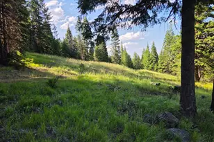 Divide Camp Rd, Joseph, OR 97846 - Photo 43