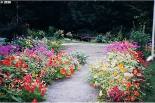 64250 E McIntyre Rd, Rhododendron, OR 97049 - Photo 19