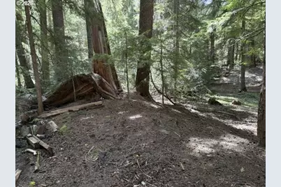 22745 Highway 58, Crescent Lake, OR 97733 - Photo 33