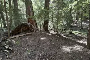 22745 Hwy 58, Crescent Lake, OR 97733 - Photo 33