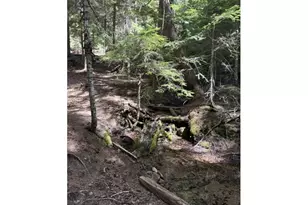 22745 Hwy 58, Crescent Lake, OR 97733 - Photo 35