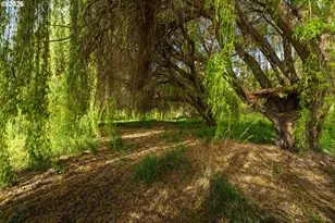 192 Honeysuckle Ln, The Dalles, OR 97058 - Photo 27