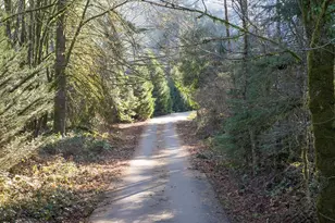 32105 NE Cerveny Rd, La Center, WA 98629 - Photo 31