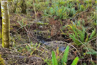 Silverwood Dr #C2, Castle Rock, WA 98611 - Photo 15