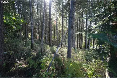 41284 Shindler Bridge Dr, Scio, OR 97374 - Photo 19