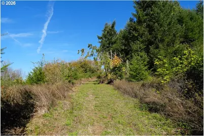 41284 Shindler Bridge Dr, Scio, OR 97374 - Photo 21