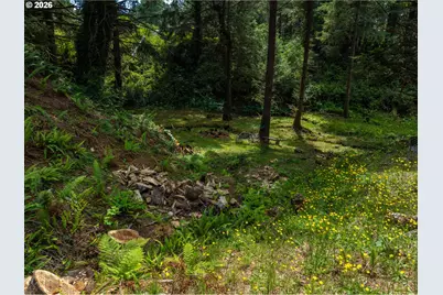 94662 Raccoon Ln, Gold Beach, OR 97444 - Photo 41