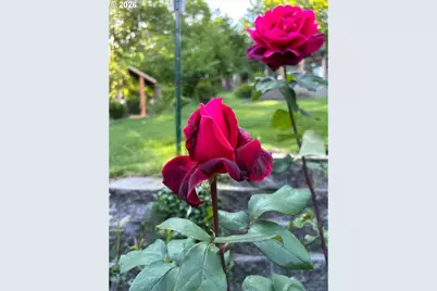 251 Mystery Dr, Amboy, WA 98601 - Photo 31