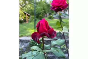 251 Mystery Dr, Amboy, WA 98601 - Photo 31