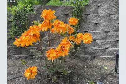 251 Mystery Dr, Amboy, WA 98601 - Photo 29