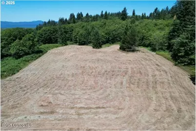 92768 Pearson Rd, Astoria, OR 97103 - Photo 9