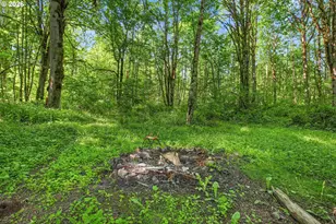 29805 Gregory Rd, Rainier, OR 97048 - Photo 39