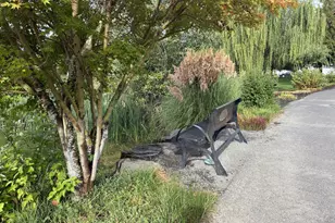 15970 SE Celsiana Ct, Damascus, OR 97089 - Photo 43