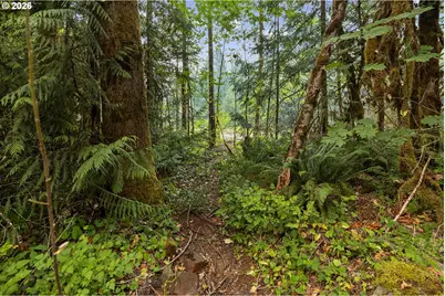 71046 E Salmonberry Rd, Rhododendron, OR 97049 - Photo 19
