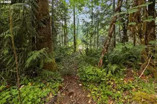 71046 E Salmonberry Rd, Rhododendron, OR 97049 - Photo 19