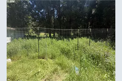 301 Humphrey Addition Rd, Glendale, OR 97442 - Photo 7