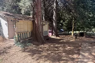 301 Humphrey Addition Rd, Glendale, OR 97442 - Photo 9