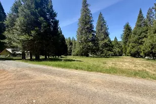 301 Humphrey Addition Rd, Glendale, OR 97442 - Photo 9