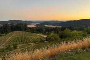 10660 SW Youngberg Hill Rd, McMinnville, OR 97128 - Photo 33