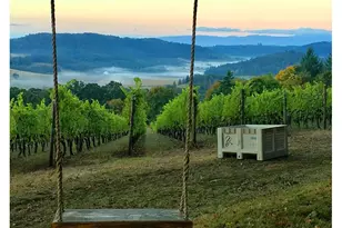 10660 SW Youngberg Hill Rd, McMinnville, OR 97128 - Photo 7