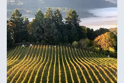 10660 SW Youngberg Hill Rd, McMinnville, OR 97128 - Photo 43