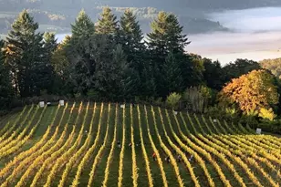 10660 SW Youngberg Hill Rd, McMinnville, OR 97128 - Photo 43