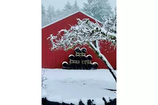 10660 SW Youngberg Hill Rd, McMinnville, OR 97128 - Photo 45