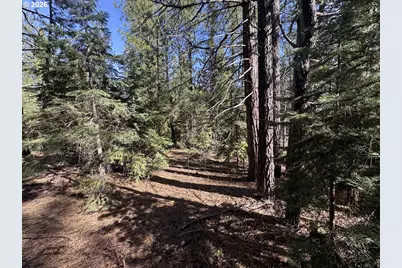 Cardinal Drive #4, Bonanza, OR 97623 - Photo 33